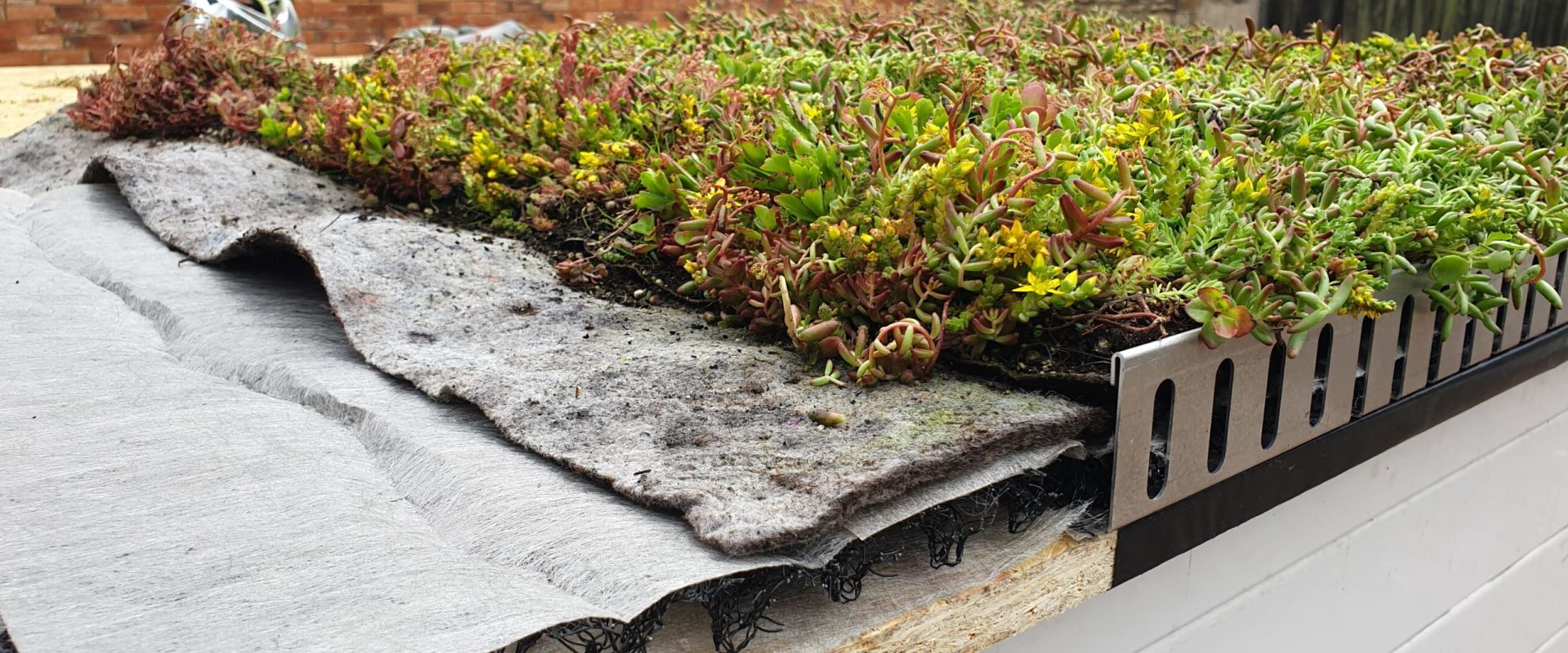 What goes under a sedum roof?