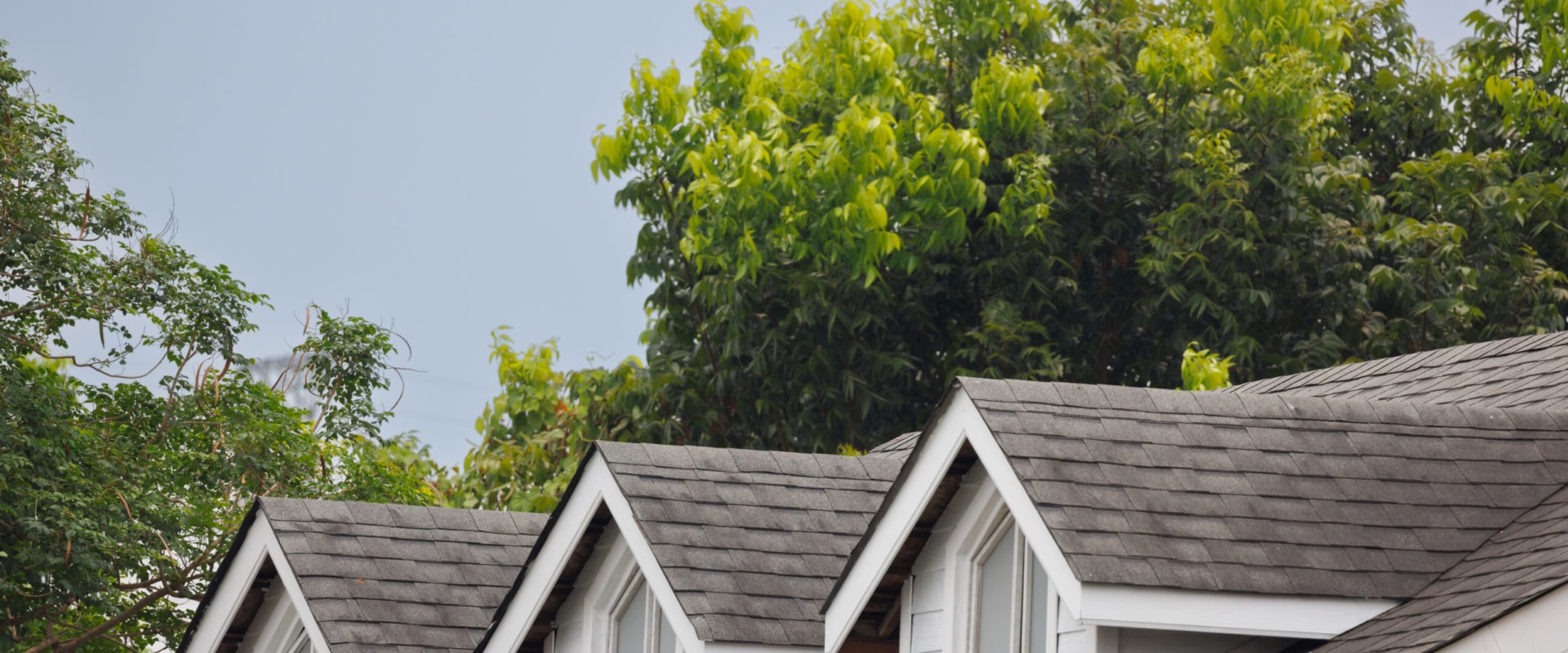 What's the most common type of roof shingle?