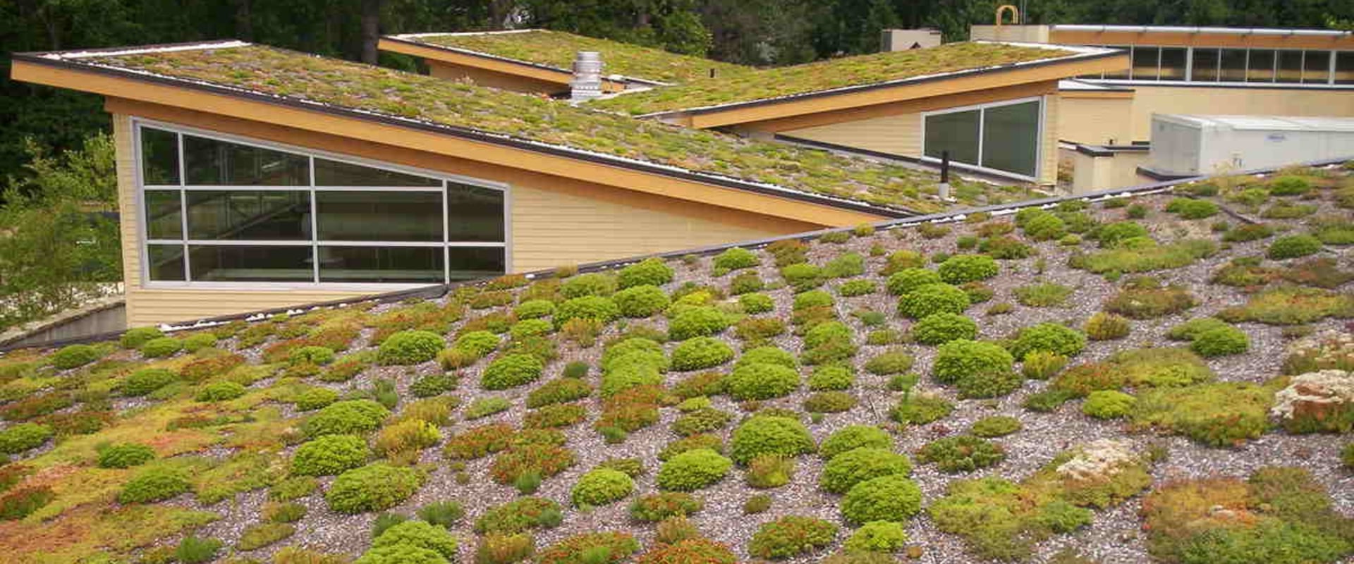 What is one disadvantage of a green roof?