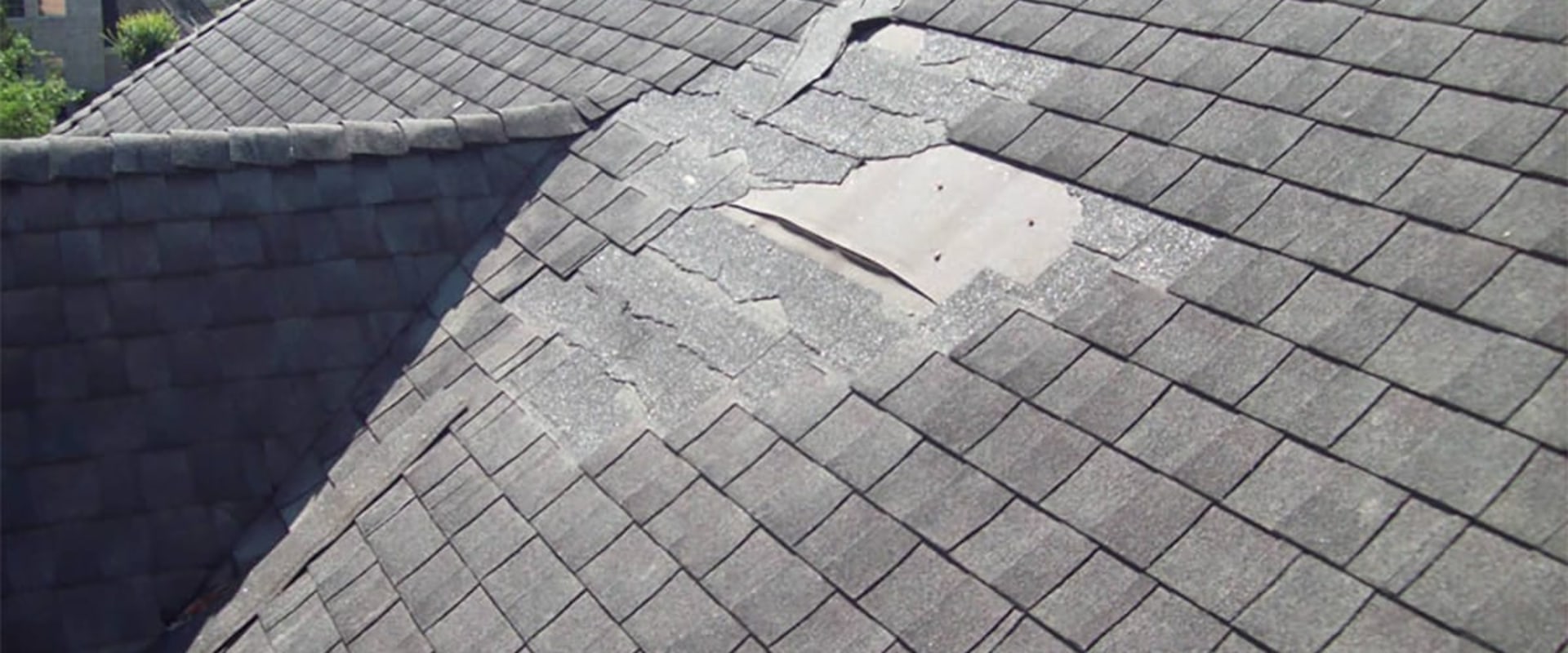 Do shingle roofs require maintenance?