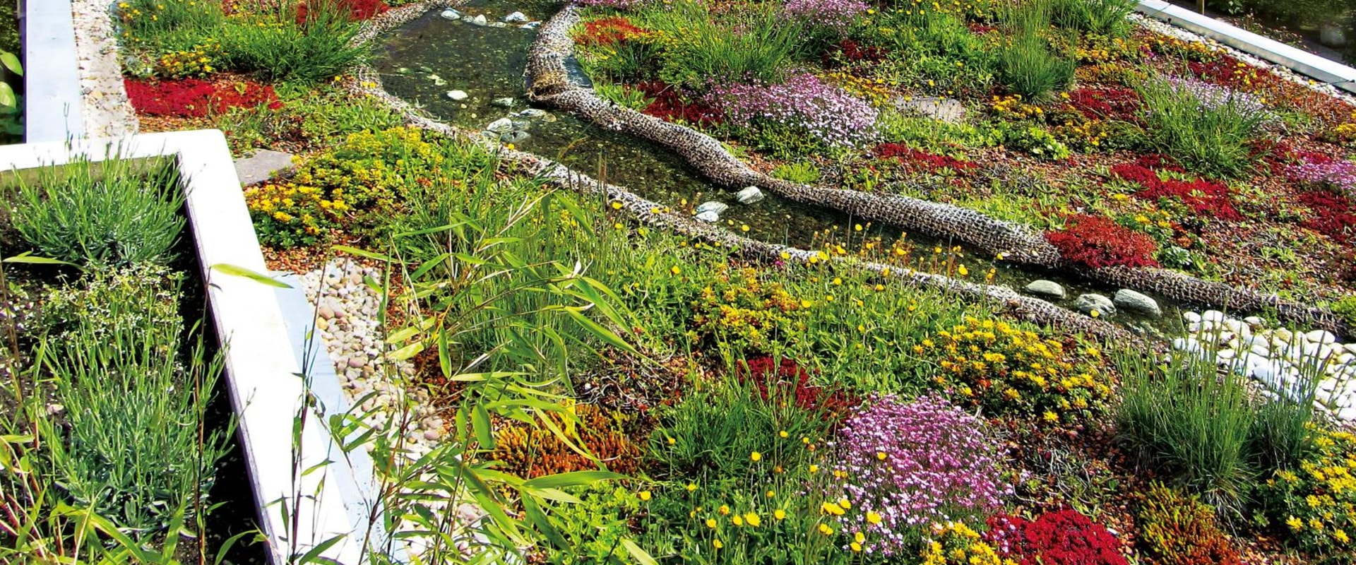 Do green roofs increase biodiversity?