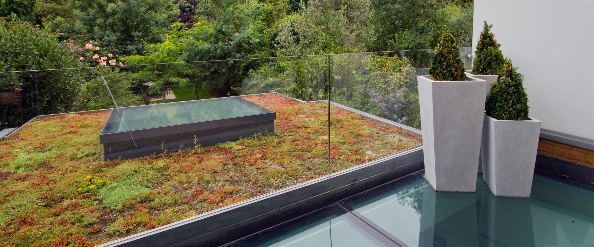 How do you turn a flat roof into a green roof?