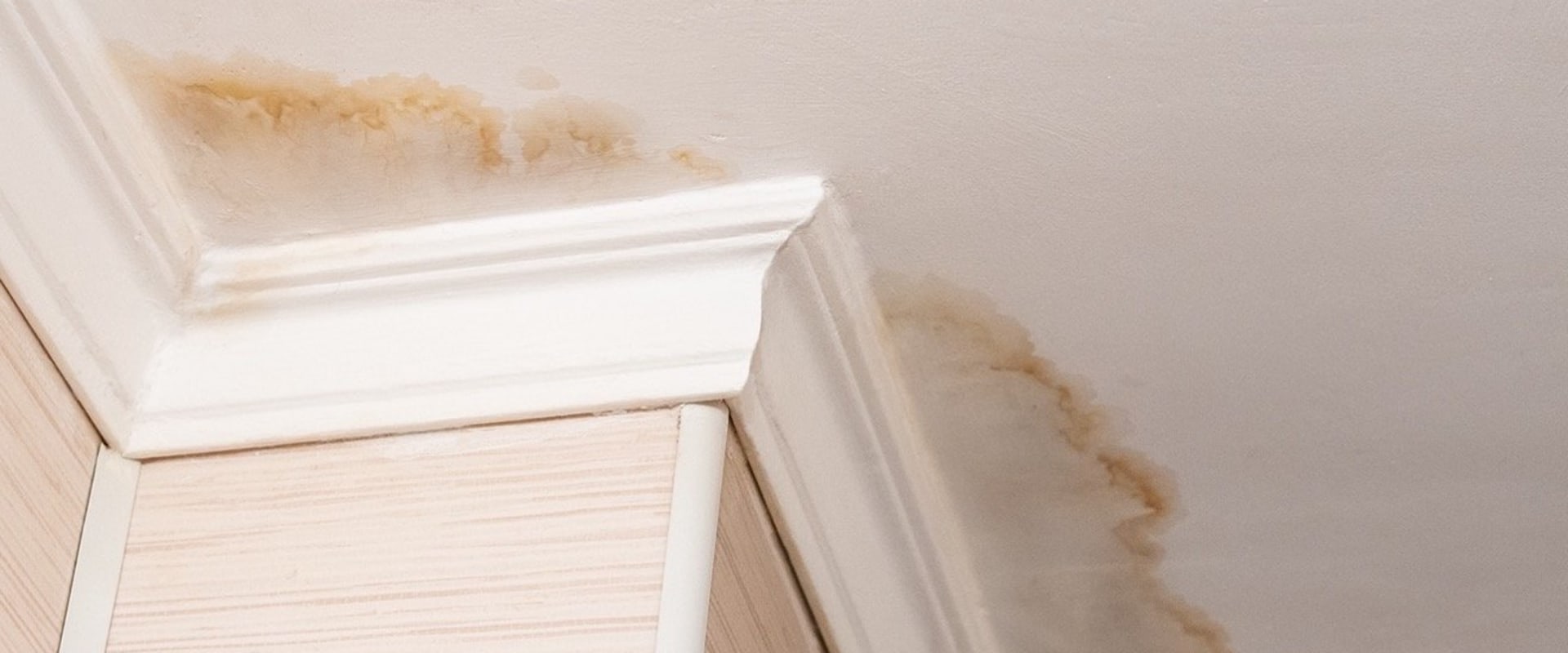 Can you get sick from a leaking roof?