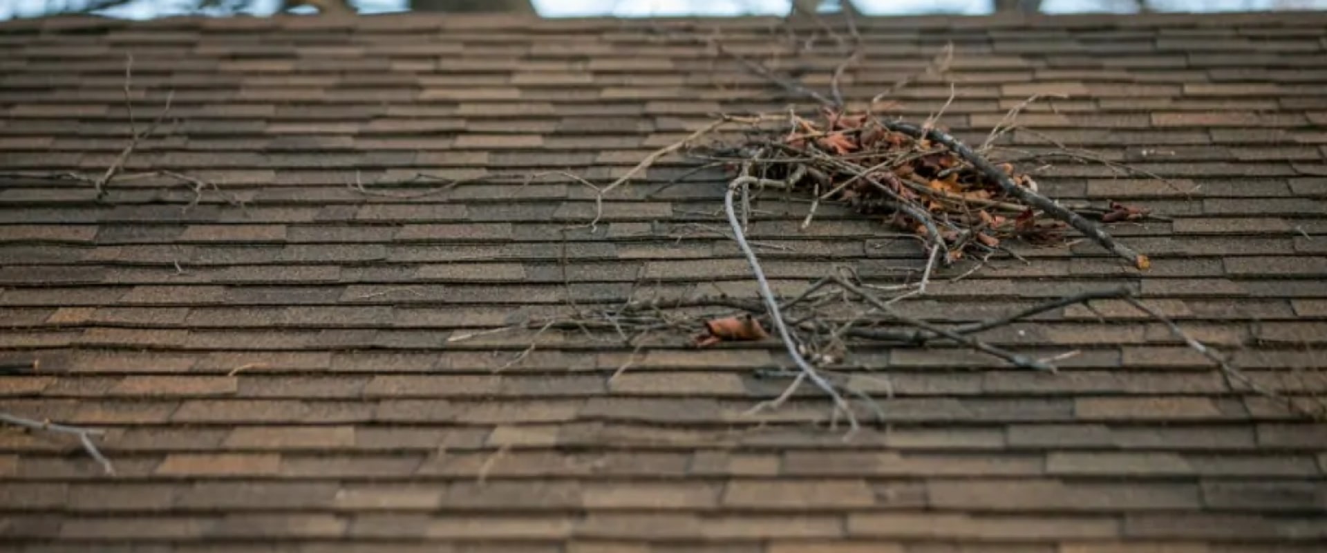 How can you tell if a roof needs to be replaced?