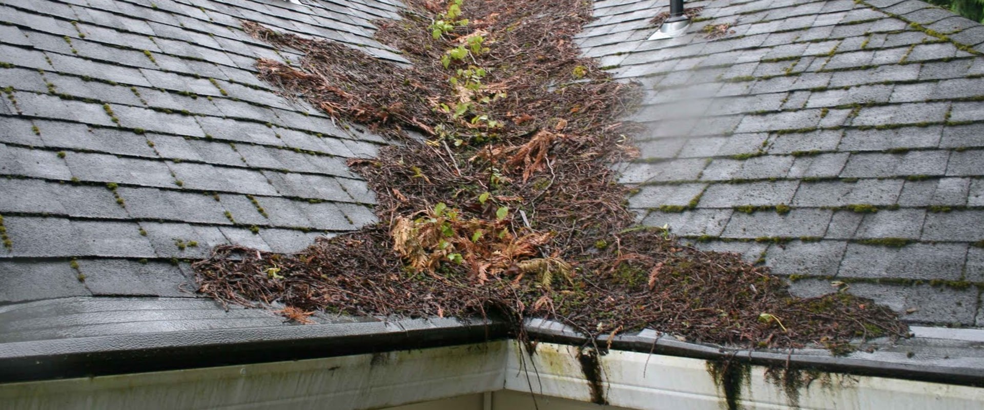 How often does a roof need maintenance?