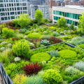 How does green roofs affect the environment?