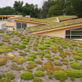 What is one disadvantage of a green roof?