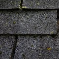 Can a roof last 20 years?