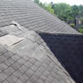 Do shingle roofs require maintenance?