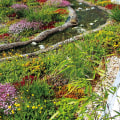 Do green roofs increase biodiversity?