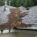 How often does a roof need maintenance?