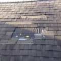 What is the most common problem with roof shingles?