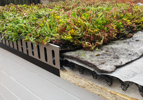 What goes under a sedum roof?