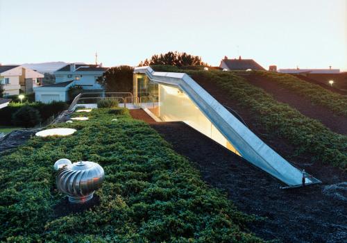 Do green roofs increase property value?