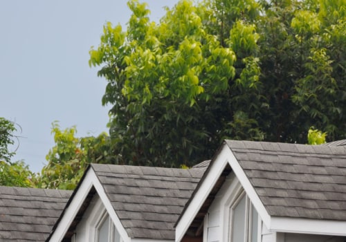 What's the most common type of roof shingle?