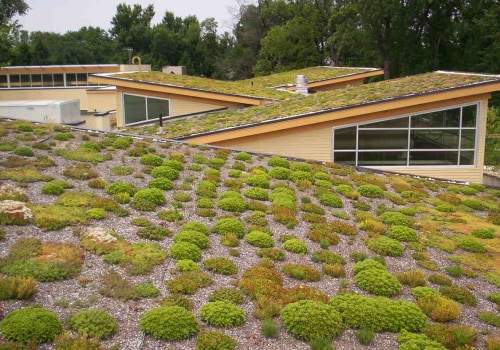 What is one disadvantage of a green roof?