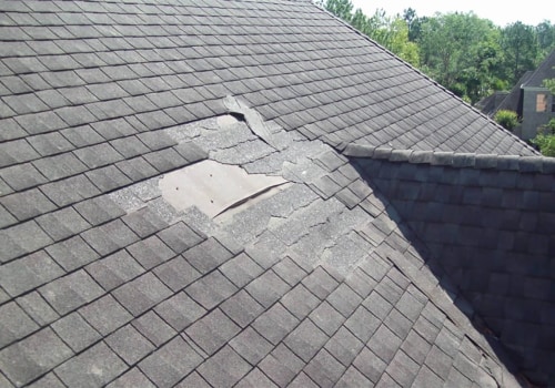 Do shingle roofs require maintenance?