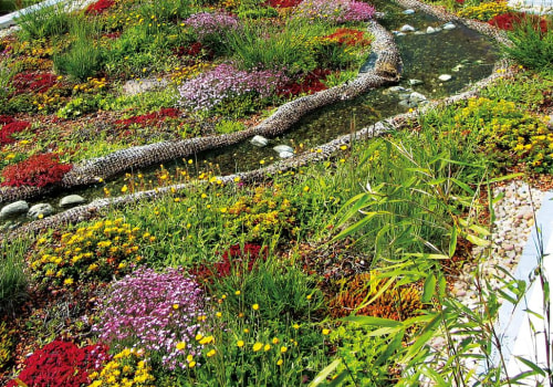 Do green roofs increase biodiversity?