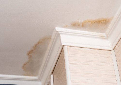 Can you get sick from a leaking roof?